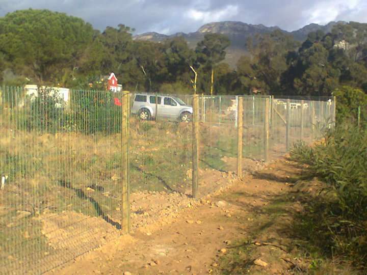 FB IMG 1486637541739
